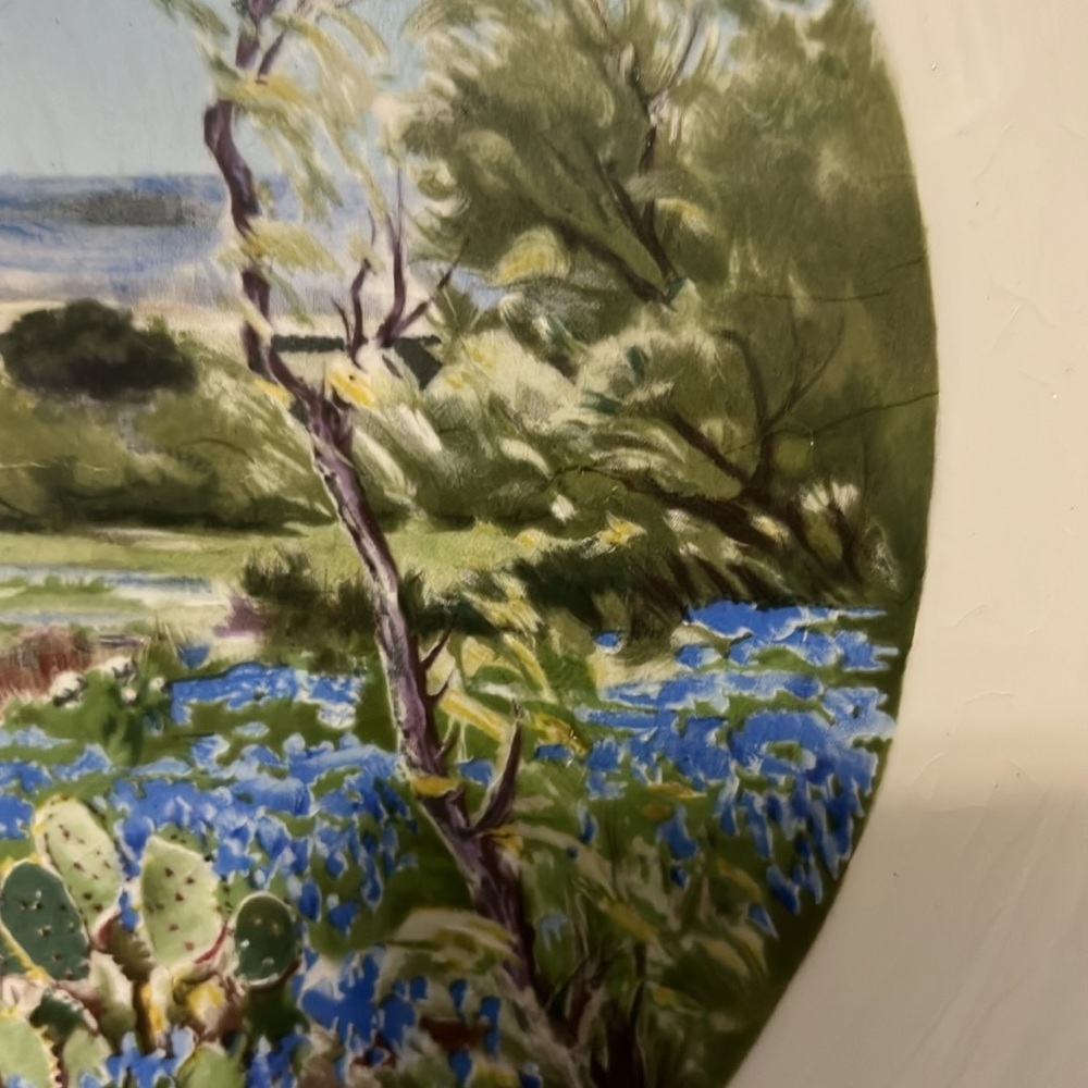 Texas Bluebonnets by Purfirio Salinas 1952 Dashby Kilns West, Texas 1st Edition - Picture 5 of 7